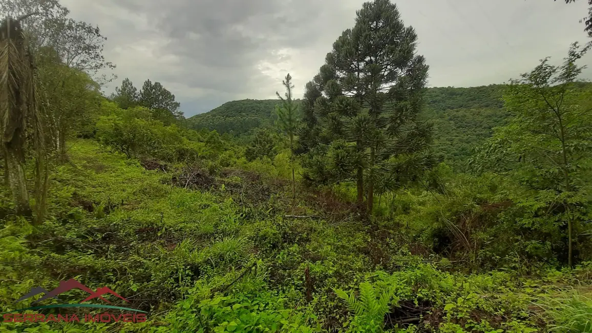 Terreno / Lote à venda, 35000m2 em Nova Petropolis - RS - imagem 5 Foto 5 de Terreno / Lote à venda, 35000m2 em Nova Petropolis - RS