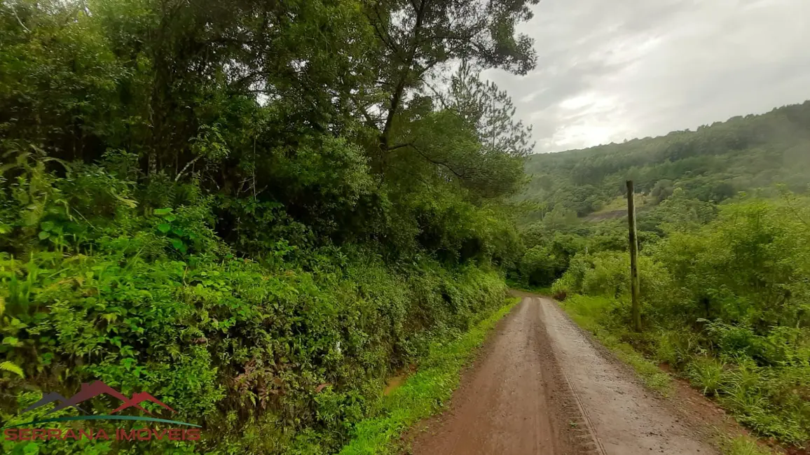 Terreno / Lote à venda, 35000m2 em Nova Petropolis - RS - imagem 7 Foto 7 de Terreno / Lote à venda, 35000m2 em Nova Petropolis - RS