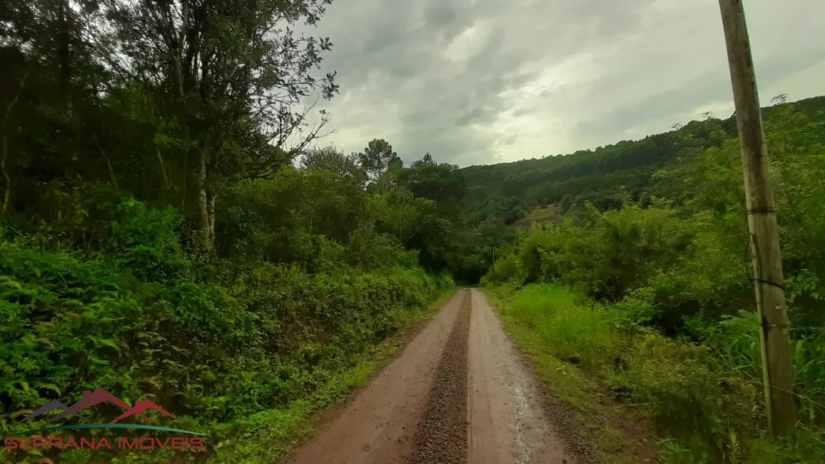 Terreno / Lote à venda, 35000m2 em Nova Petropolis - RS - imagem 3 Foto 3 de Terreno / Lote à venda, 35000m2 em Nova Petropolis - RS