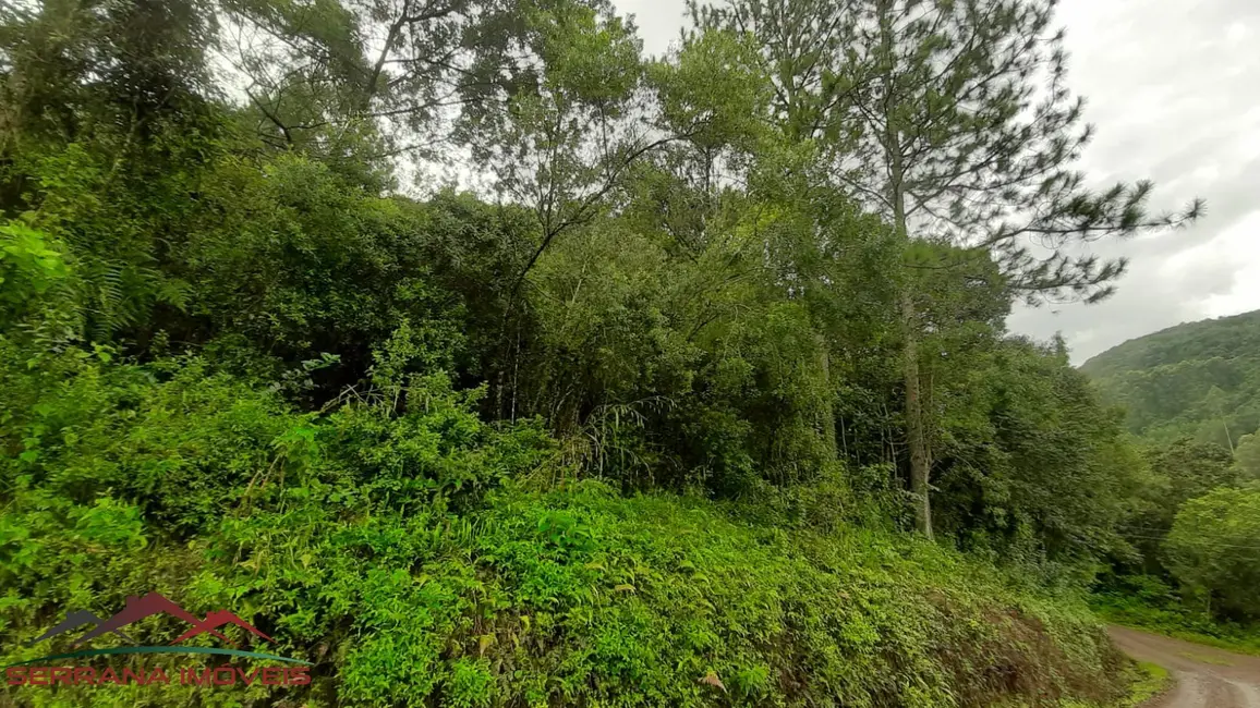 Terreno / Lote à venda, 35000m2 em Nova Petropolis - RS - imagem 4 Foto 4 de Terreno / Lote à venda, 35000m2 em Nova Petropolis - RS