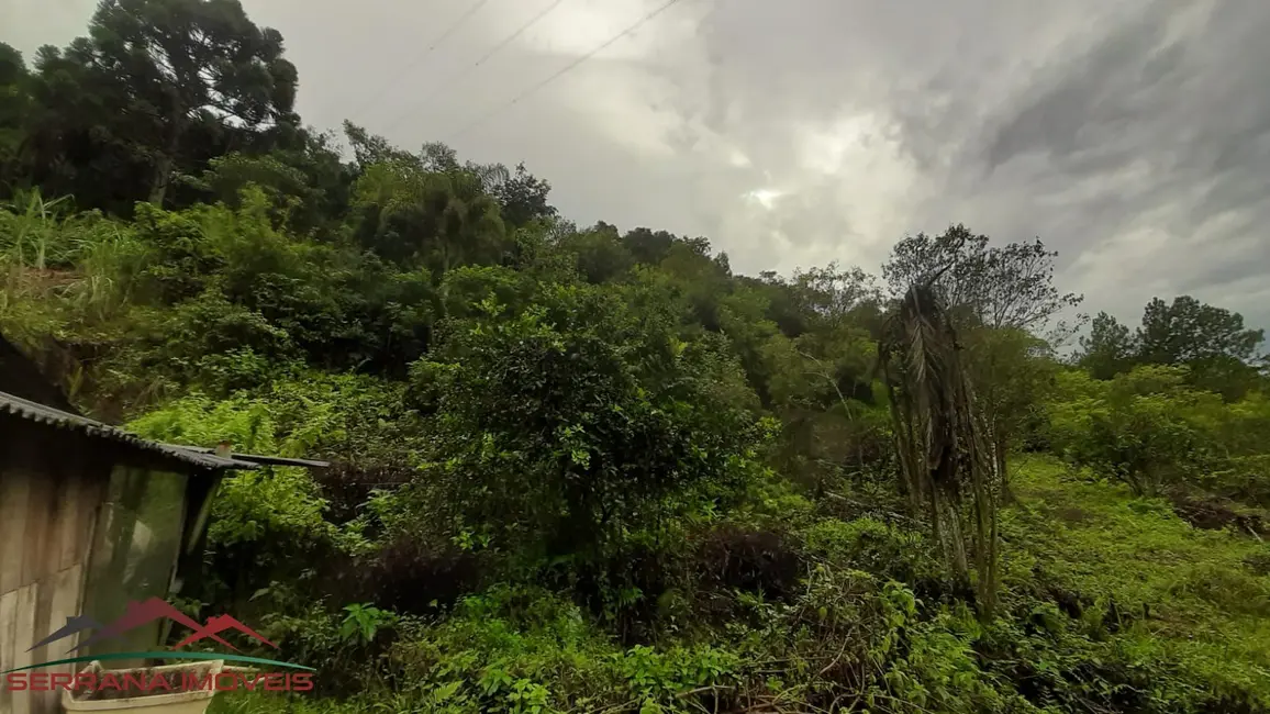 Terreno / Lote à venda, 35000m2 em Nova Petropolis - RS - imagem 9 Foto 9 de Terreno / Lote à venda, 35000m2 em Nova Petropolis - RS