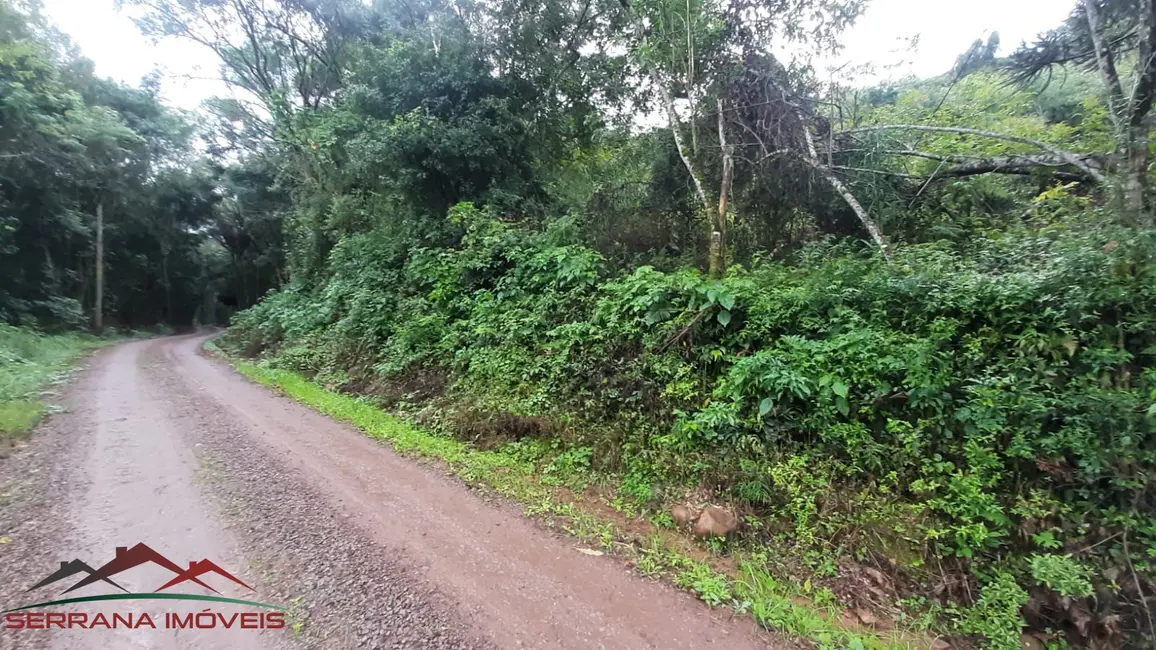 Terreno / Lote à venda, 35000m2 em Nova Petropolis - RS - imagem 6 Foto 6 de Terreno / Lote à venda, 35000m2 em Nova Petropolis - RS