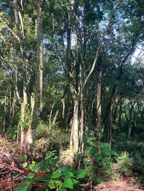 Chácara com 4 quartos à venda, 120m2 em Picada Cafe - RS - imagem 9 Foto 9 de Chácara com 4 quartos à venda, 120m2 em Picada Cafe - RS