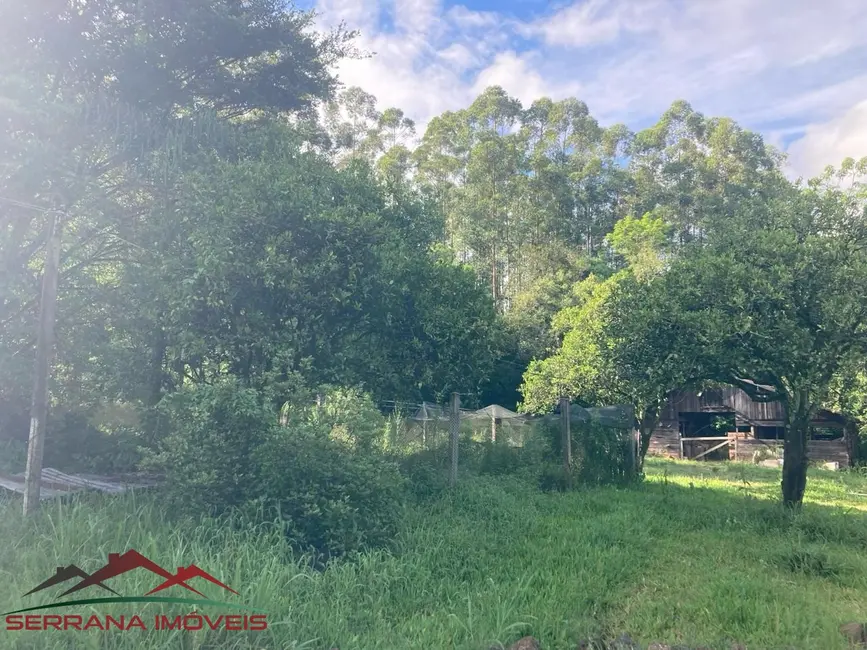 Chácara com 4 quartos à venda, 120m2 em Picada Cafe - RS - imagem 6 Foto 6 de Chácara com 4 quartos à venda, 120m2 em Picada Cafe - RS