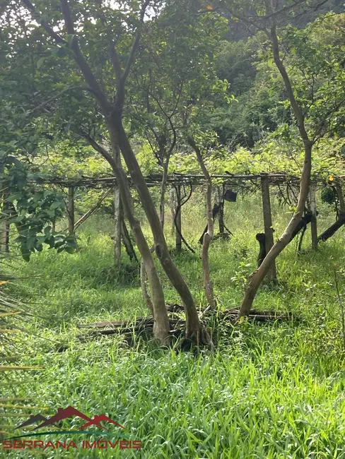 Chácara com 4 quartos à venda, 120m2 em Picada Cafe - RS - imagem 8 Foto 8 de Chácara com 4 quartos à venda, 120m2 em Picada Cafe - RS