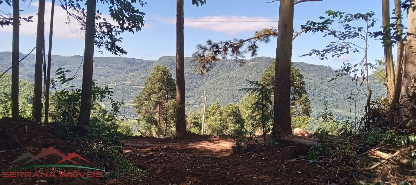Foto 1 de Terreno / Lote à venda, 20000m2 em Nova Petropolis - RS