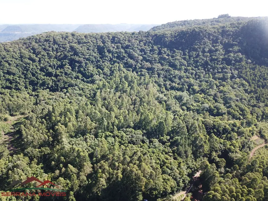 Terreno / Lote à venda, 20000m2 em Nova Petropolis - RS - imagem 2 Foto 2 de Terreno / Lote à venda, 20000m2 em Nova Petropolis - RS
