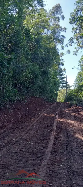 Terreno / Lote à venda, 20000m2 em Nova Petropolis - RS - imagem 8 Foto 8 de Terreno / Lote à venda, 20000m2 em Nova Petropolis - RS