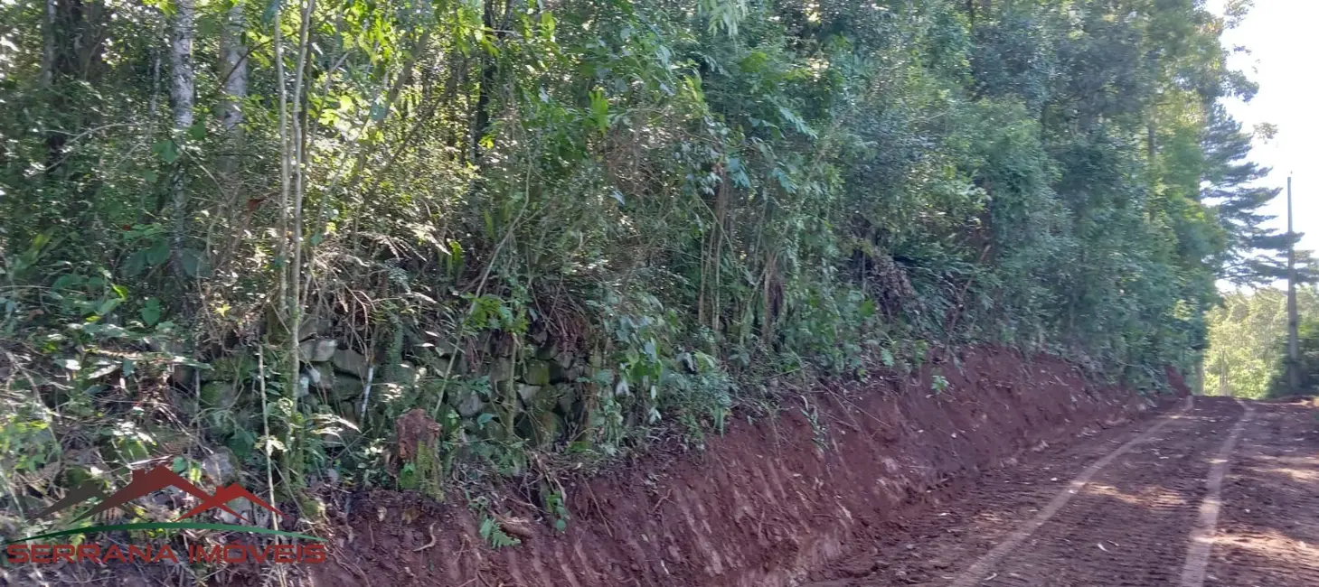 Terreno / Lote à venda, 20000m2 em Nova Petropolis - RS - imagem 9 Foto 9 de Terreno / Lote à venda, 20000m2 em Nova Petropolis - RS