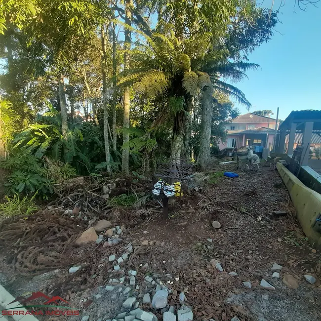 Foto 5 de Terreno / Lote à venda, 810m2 em Nova Petropolis - RS