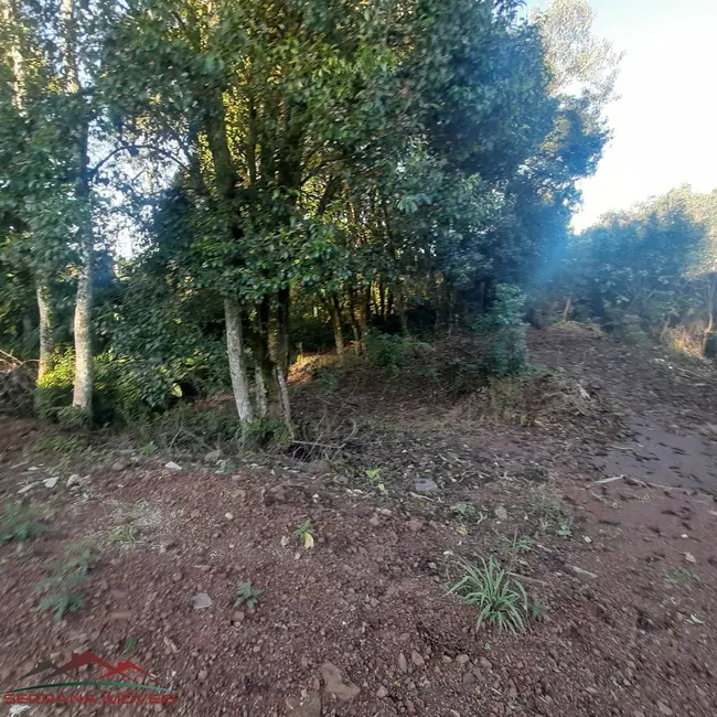 Foto 6 de Terreno / Lote à venda, 810m2 em Nova Petropolis - RS