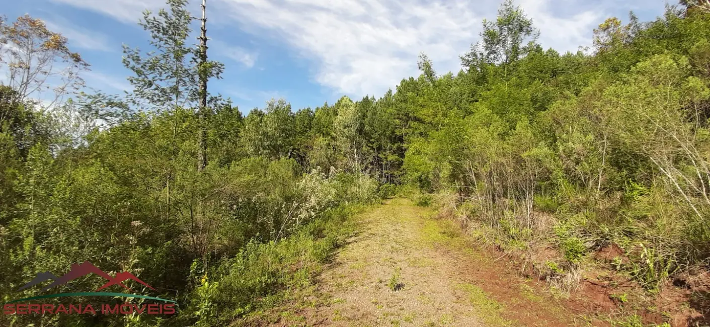 Terreno / Lote à venda, 20000m2 em Nova Petropolis - RS - imagem 4 Foto 4 de Terreno / Lote à venda, 20000m2 em Nova Petropolis - RS