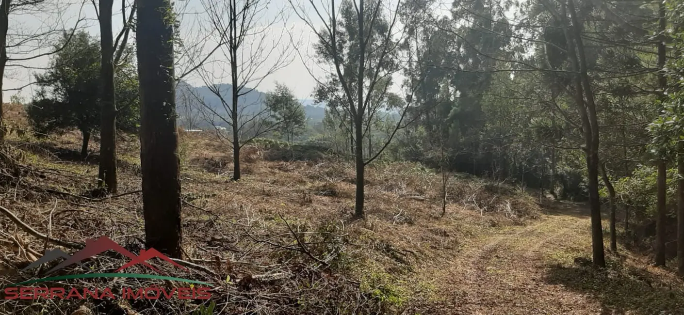 Terreno / Lote à venda, 20000m2 em Nova Petropolis - RS - imagem 9 Foto 9 de Terreno / Lote à venda, 20000m2 em Nova Petropolis - RS