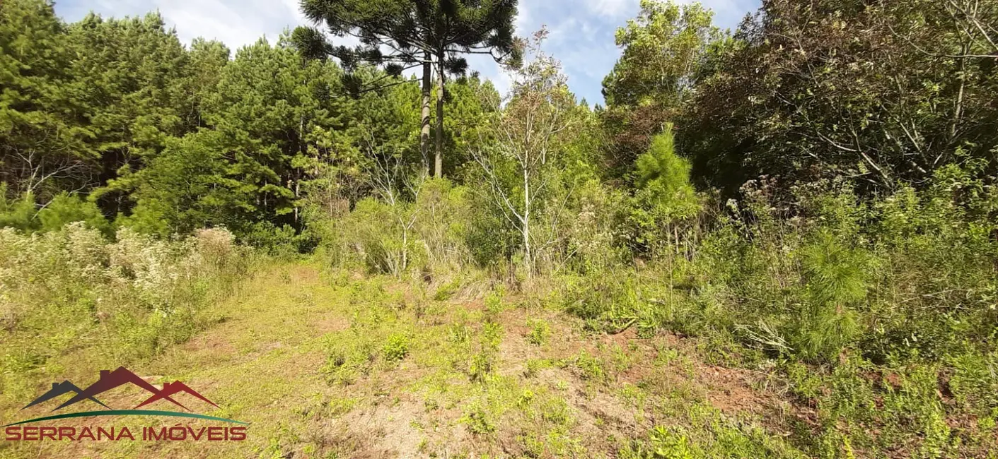 Terreno / Lote à venda, 20000m2 em Nova Petropolis - RS - imagem 3 Foto 3 de Terreno / Lote à venda, 20000m2 em Nova Petropolis - RS