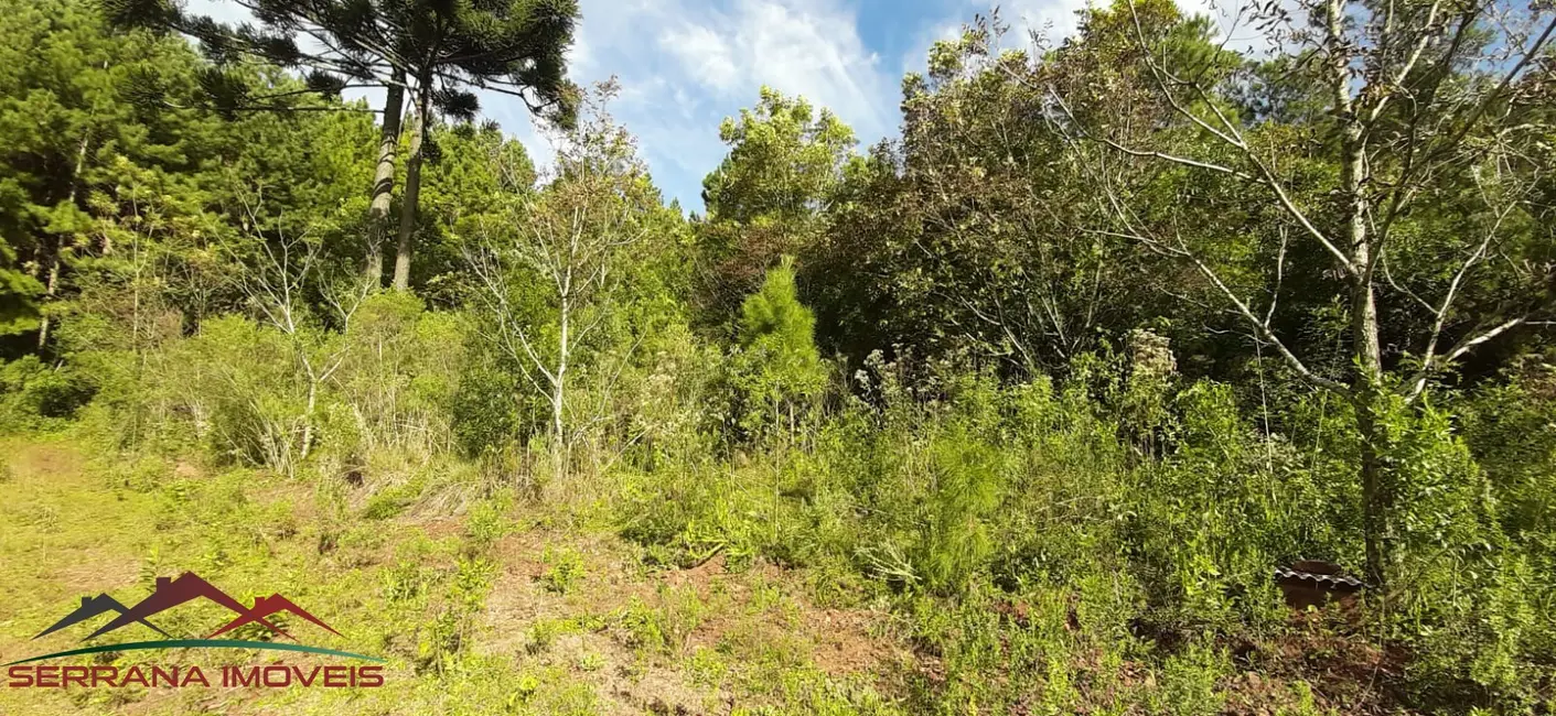 Terreno / Lote à venda, 20000m2 em Nova Petropolis - RS - imagem 2 Foto 2 de Terreno / Lote à venda, 20000m2 em Nova Petropolis - RS