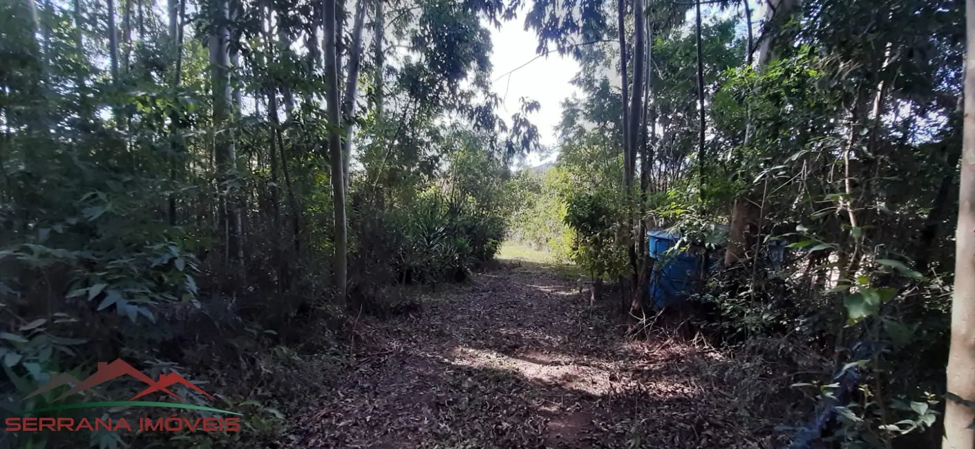 Terreno / Lote à venda, 20000m2 em Nova Petropolis - RS - imagem 5 Foto 5 de Terreno / Lote à venda, 20000m2 em Nova Petropolis - RS
