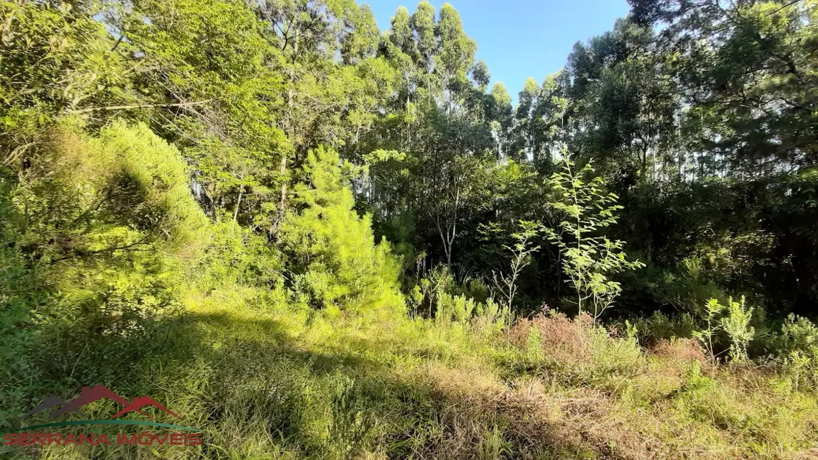 Terreno / Lote à venda, 20000m2 em Nova Petropolis - RS - imagem 6 Foto 6 de Terreno / Lote à venda, 20000m2 em Nova Petropolis - RS