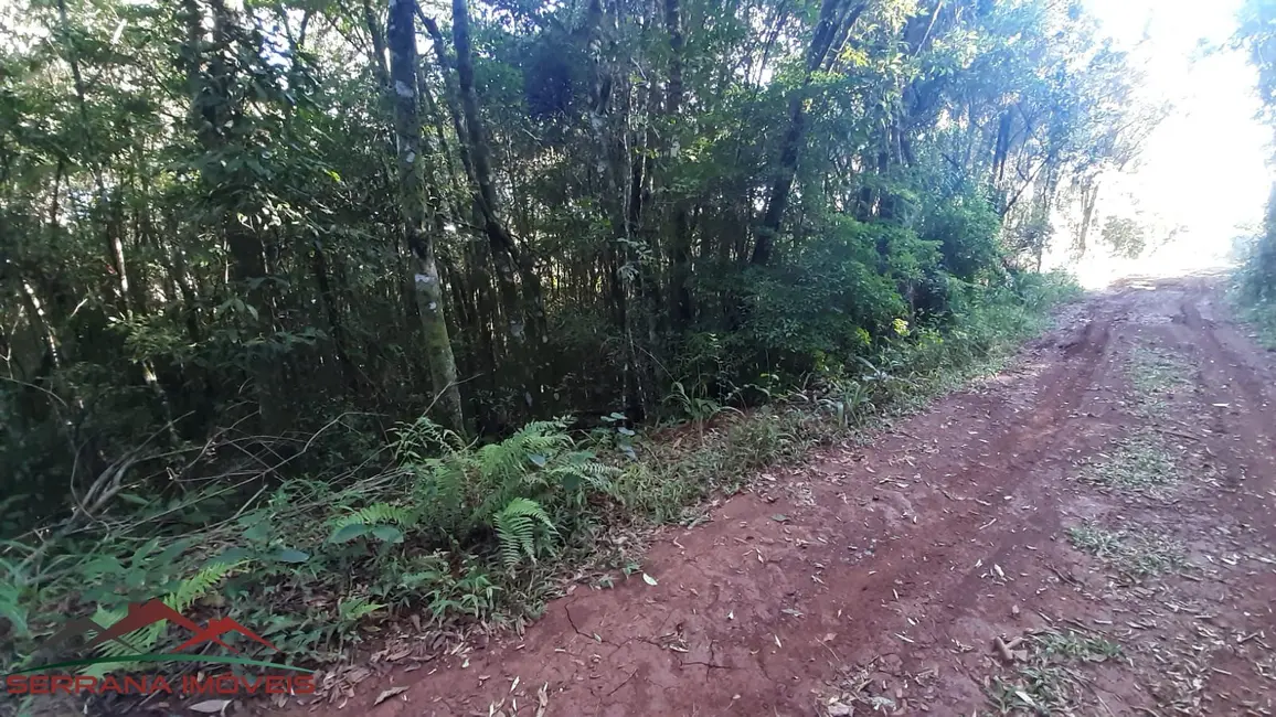 Terreno / Lote à venda, 20000m2 em Nova Petropolis - RS - imagem 5 Foto 5 de Terreno / Lote à venda, 20000m2 em Nova Petropolis - RS