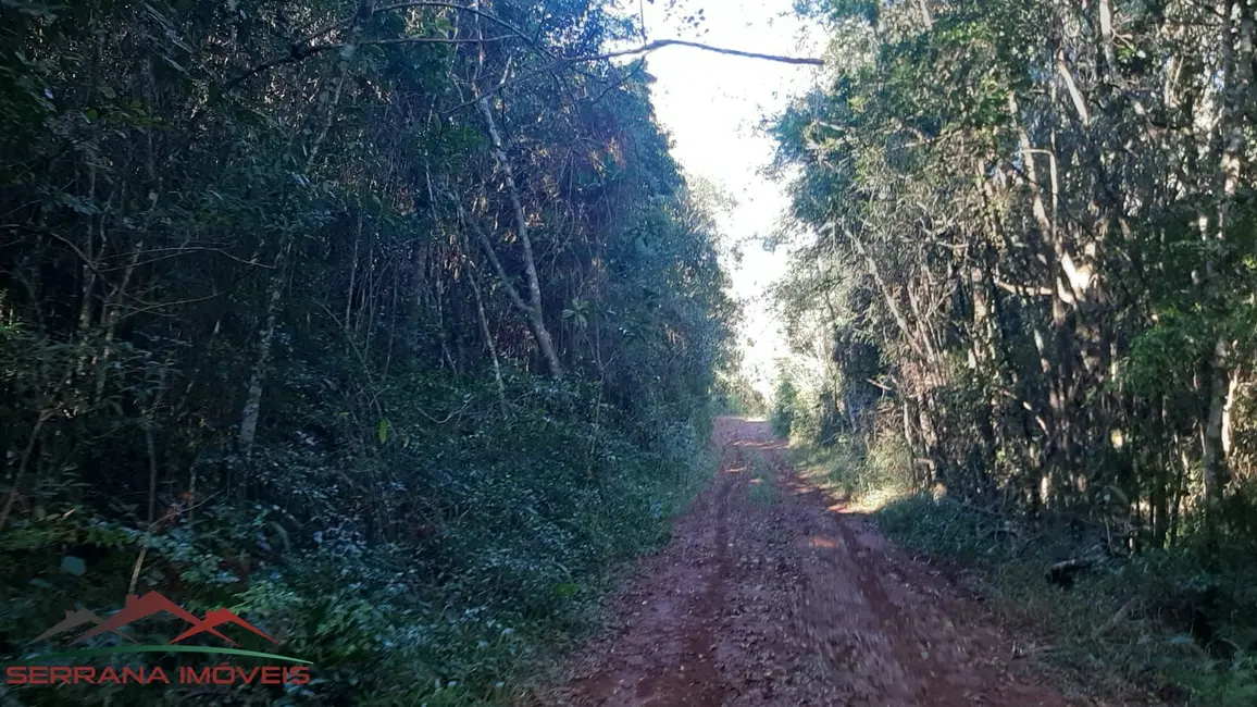 Terreno / Lote à venda, 20000m2 em Nova Petropolis - RS - imagem 7 Foto 7 de Terreno / Lote à venda, 20000m2 em Nova Petropolis - RS