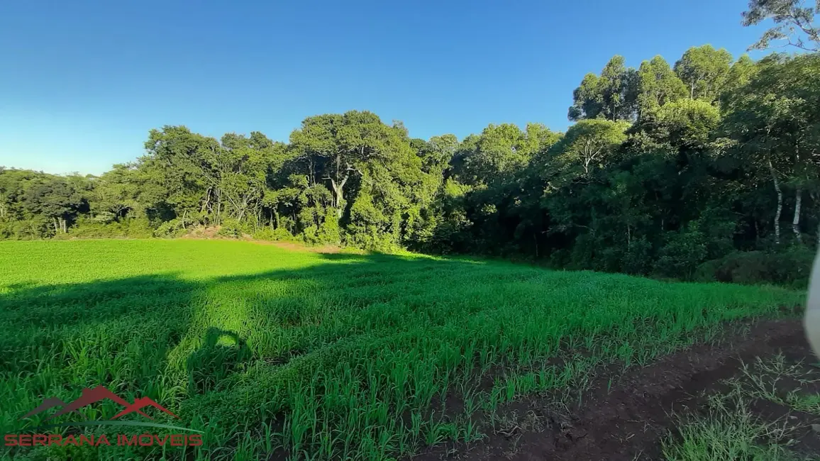 Terreno / Lote à venda, 20000m2 em Nova Petropolis - RS - imagem 9 Foto 9 de Terreno / Lote à venda, 20000m2 em Nova Petropolis - RS
