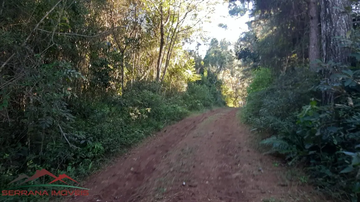 Terreno / Lote à venda, 20000m2 em Nova Petropolis - RS - imagem 4 Foto 4 de Terreno / Lote à venda, 20000m2 em Nova Petropolis - RS