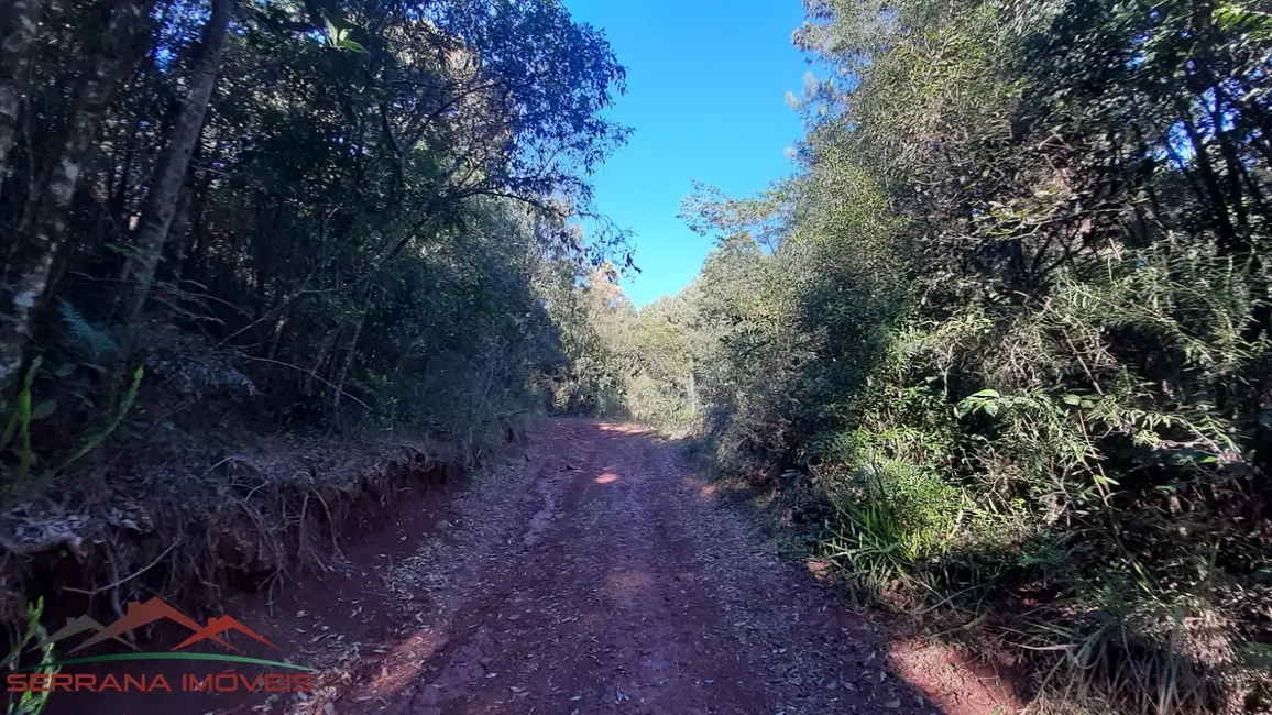 Terreno / Lote à venda, 20000m2 em Nova Petropolis - RS - imagem 8 Foto 8 de Terreno / Lote à venda, 20000m2 em Nova Petropolis - RS