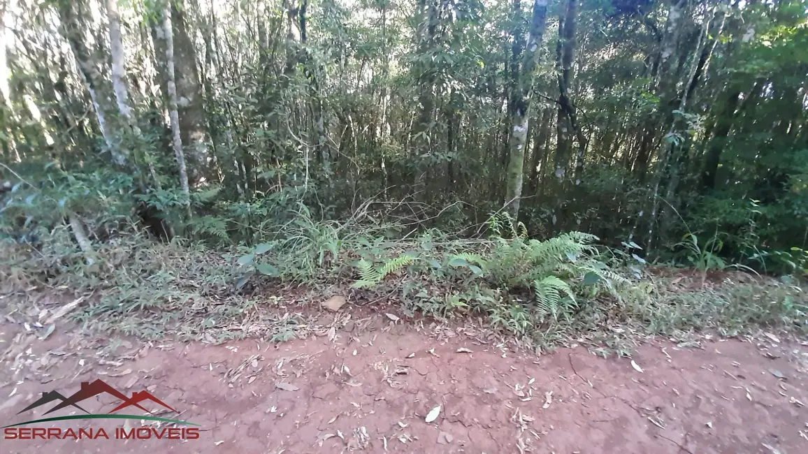 Foto 2 de Terreno / Lote à venda, 20000m2 em Nova Petropolis - RS