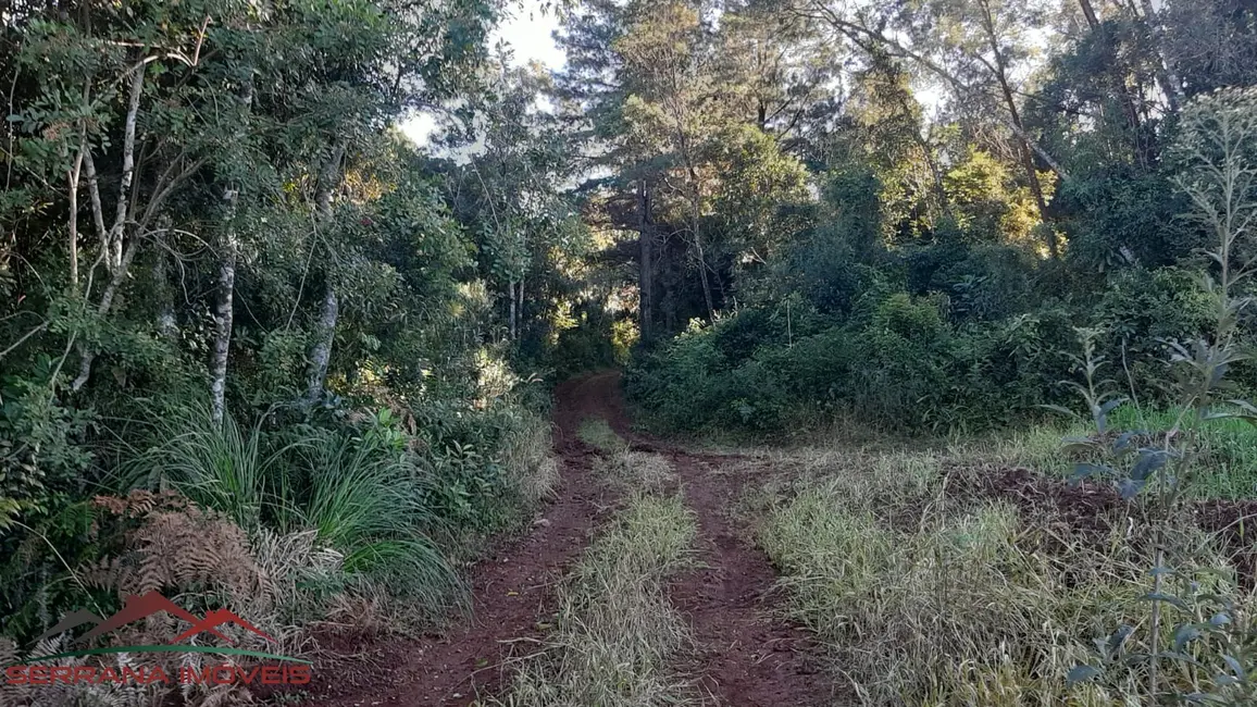 Terreno / Lote à venda, 20000m2 em Nova Petropolis - RS - imagem 3 Foto 3 de Terreno / Lote à venda, 20000m2 em Nova Petropolis - RS