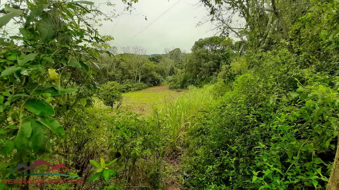 Terreno / Lote à venda, 20000m2 em Nova Petropolis - RS - imagem 4 Foto 4 de Terreno / Lote à venda, 20000m2 em Nova Petropolis - RS