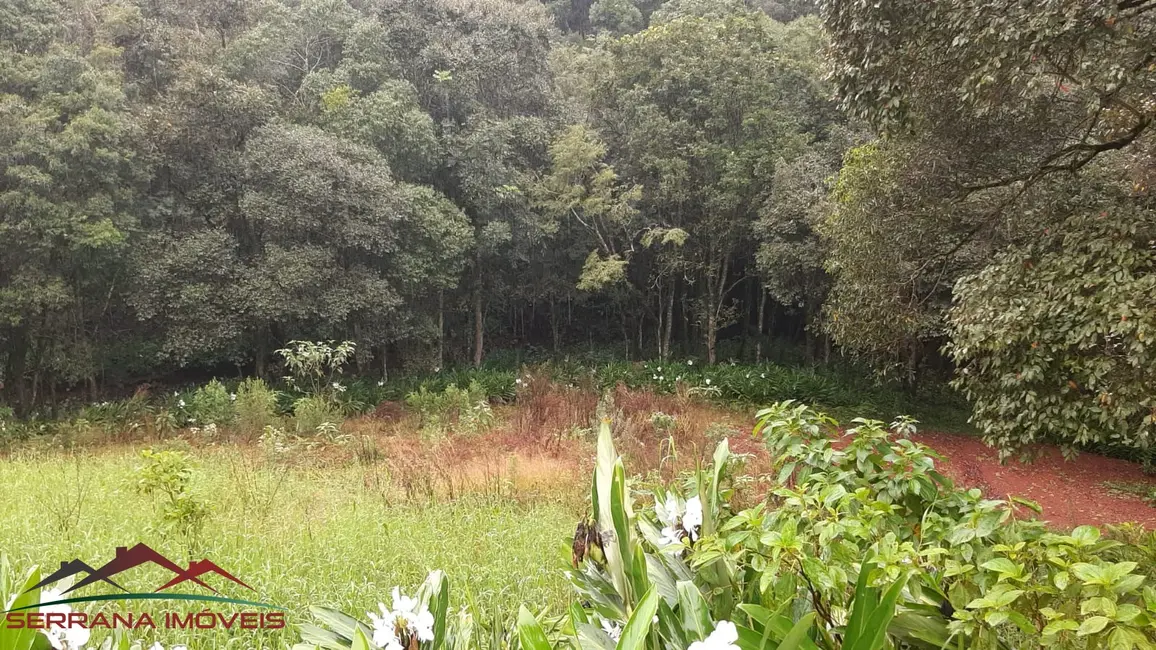 Terreno / Lote à venda, 20000m2 em Nova Petropolis - RS - imagem 7 Foto 7 de Terreno / Lote à venda, 20000m2 em Nova Petropolis - RS