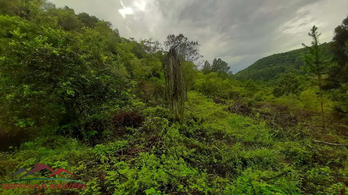 Terreno / Lote à venda, 30000m2 em Nova Petropolis - RS - imagem 4 Foto 4 de Terreno / Lote à venda, 30000m2 em Nova Petropolis - RS