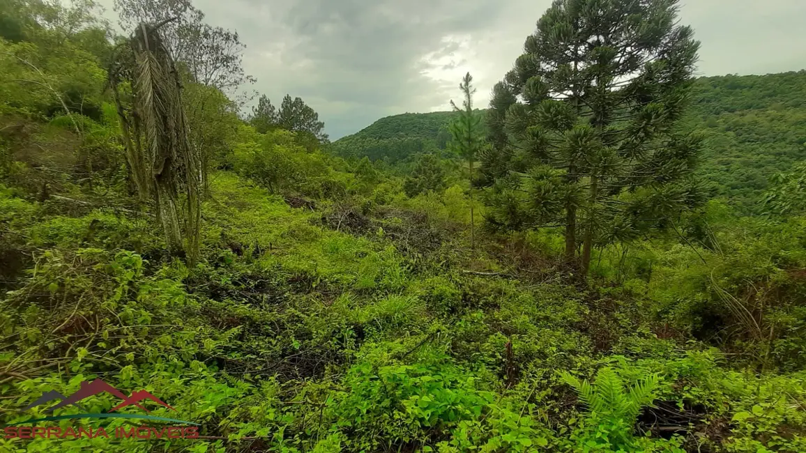 Terreno / Lote à venda, 30000m2 em Nova Petropolis - RS - imagem 7 Foto 7 de Terreno / Lote à venda, 30000m2 em Nova Petropolis - RS