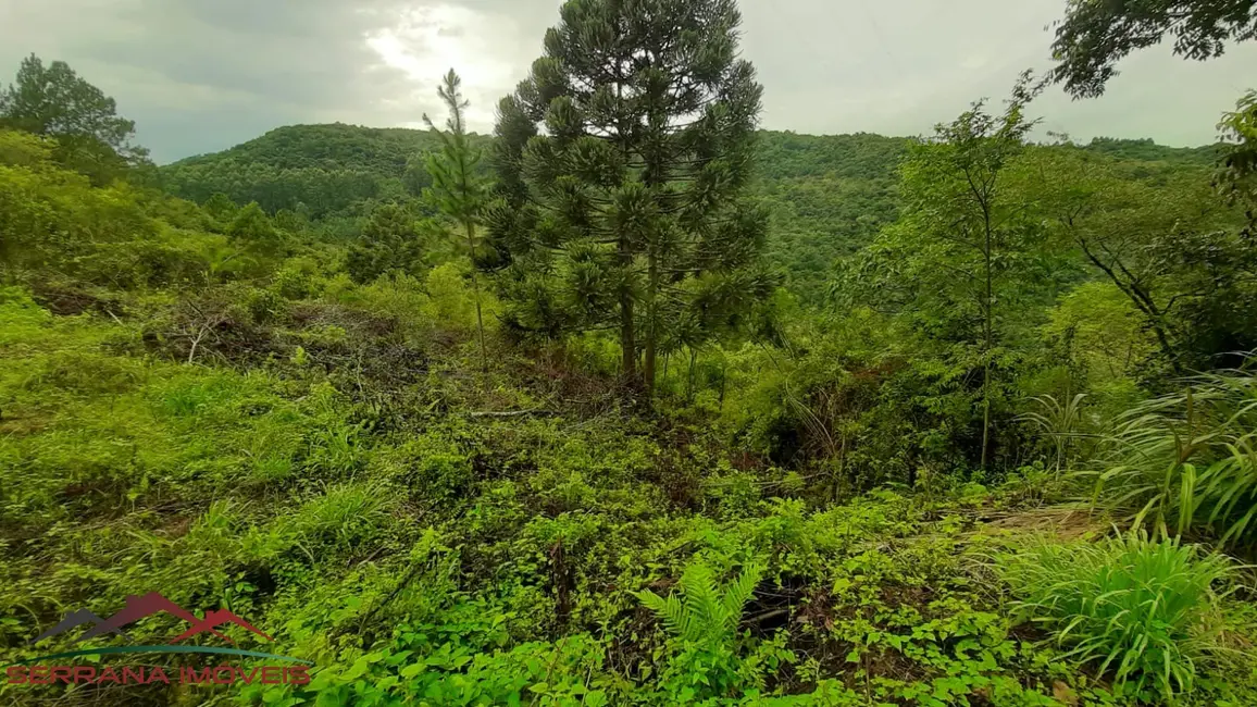 Foto 1 de Terreno / Lote à venda, 30000m2 em Nova Petropolis - RS