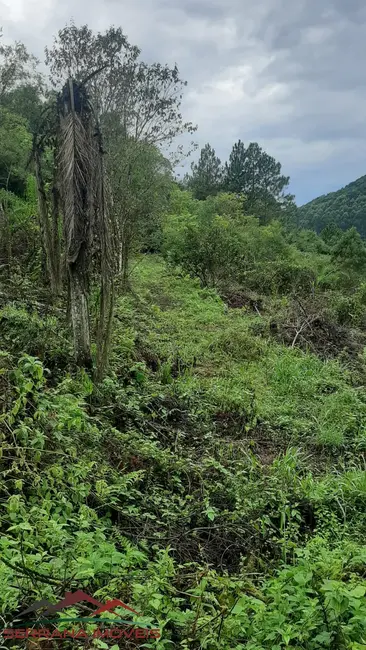Terreno / Lote à venda, 30000m2 em Nova Petropolis - RS - imagem 6 Foto 6 de Terreno / Lote à venda, 30000m2 em Nova Petropolis - RS