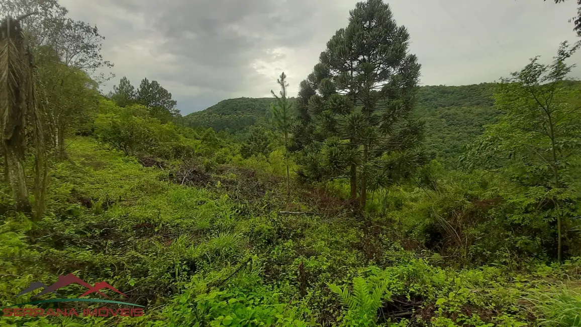 Foto 2 de Terreno / Lote à venda, 30000m2 em Nova Petropolis - RS