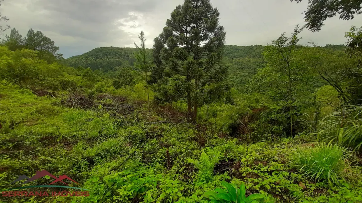 Terreno / Lote à venda, 30000m2 em Nova Petropolis - RS - imagem 8 Foto 8 de Terreno / Lote à venda, 30000m2 em Nova Petropolis - RS