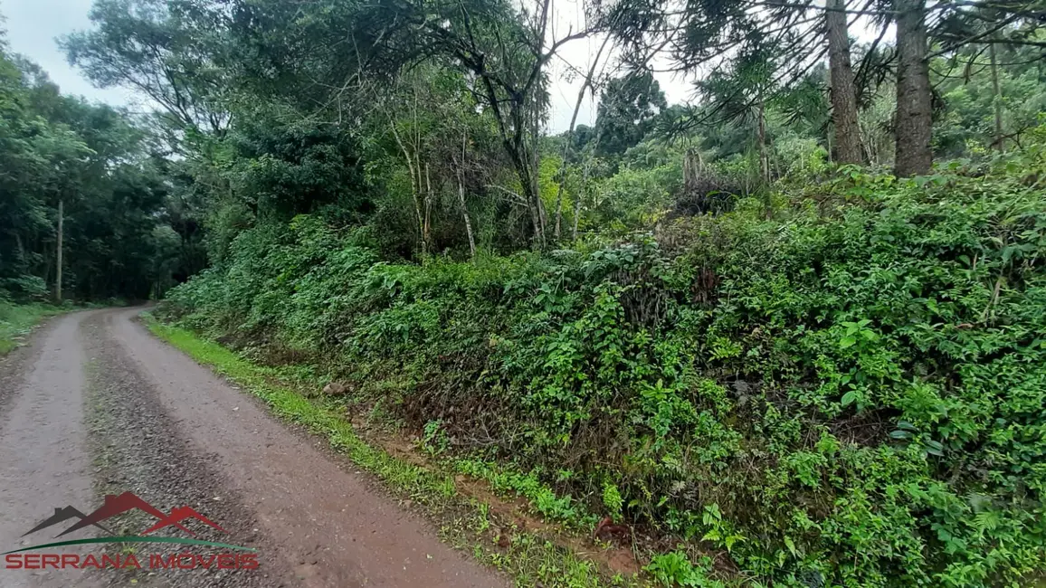 Terreno / Lote à venda, 30000m2 em Nova Petropolis - RS - imagem 9 Foto 9 de Terreno / Lote à venda, 30000m2 em Nova Petropolis - RS