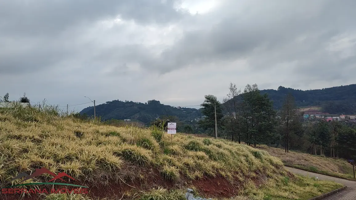 Foto 1 de Terreno / Lote à venda, 541m2 em Nova Petropolis - RS