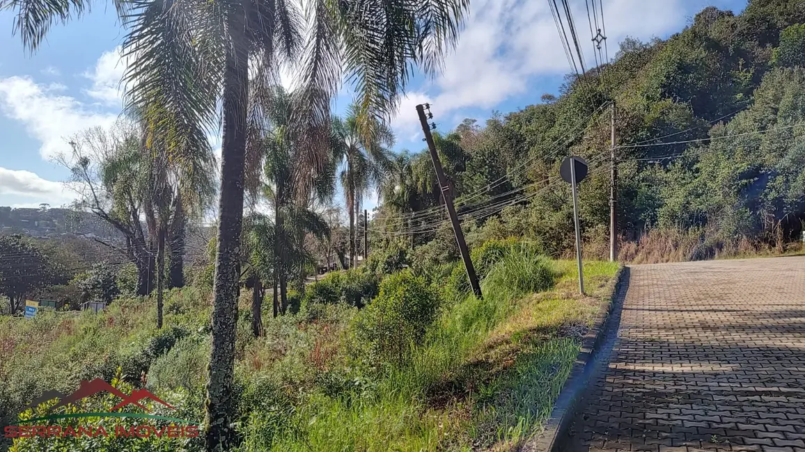 Terreno / Lote à venda, 1294m2 em Nova Petropolis - RS - imagem 3 Foto 3 de Terreno / Lote à venda, 1294m2 em Nova Petropolis - RS