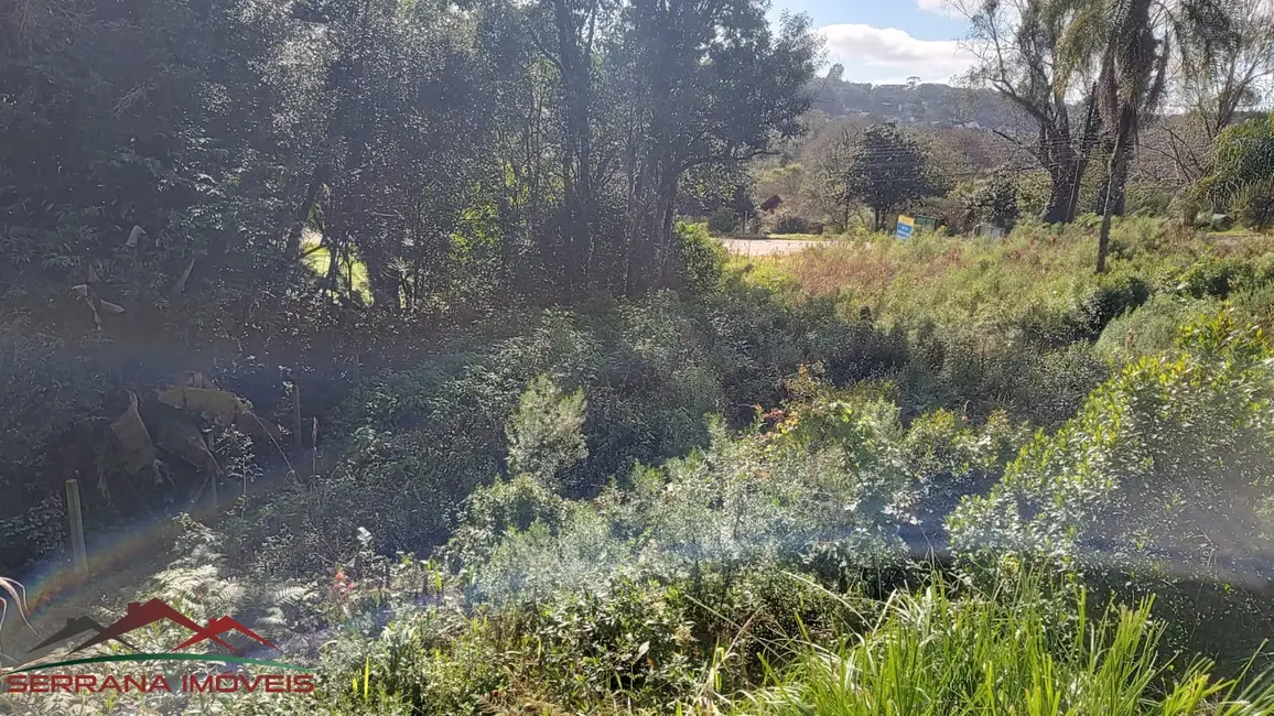 Terreno / Lote à venda, 1294m2 em Nova Petropolis - RS - imagem 4 Foto 4 de Terreno / Lote à venda, 1294m2 em Nova Petropolis - RS
