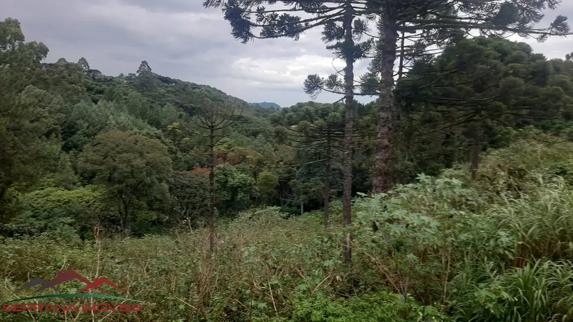 Terreno / Lote à venda, 1877m2 em Nova Petropolis - RS - imagem 1 Foto 1 de Terreno / Lote à venda, 1877m2 em Nova Petropolis - RS