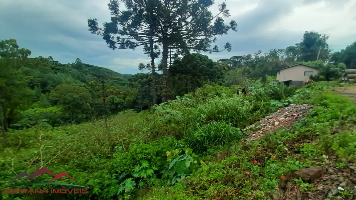 Terreno / Lote à venda, 1877m2 em Nova Petropolis - RS - imagem 4 Foto 4 de Terreno / Lote à venda, 1877m2 em Nova Petropolis - RS