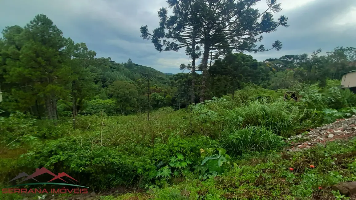 Terreno / Lote à venda, 1877m2 em Nova Petropolis - RS - imagem 5 Foto 5 de Terreno / Lote à venda, 1877m2 em Nova Petropolis - RS