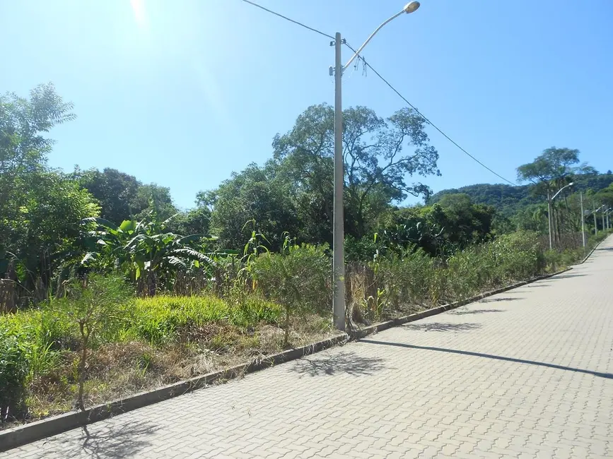 Terreno / Lote à venda, 360m2 em Picada Cafe - RS - imagem 8 Foto 8 de Terreno / Lote à venda, 360m2 em Picada Cafe - RS