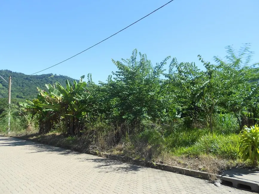 Terreno / Lote à venda, 360m2 em Picada Cafe - RS - imagem 9 Foto 9 de Terreno / Lote à venda, 360m2 em Picada Cafe - RS