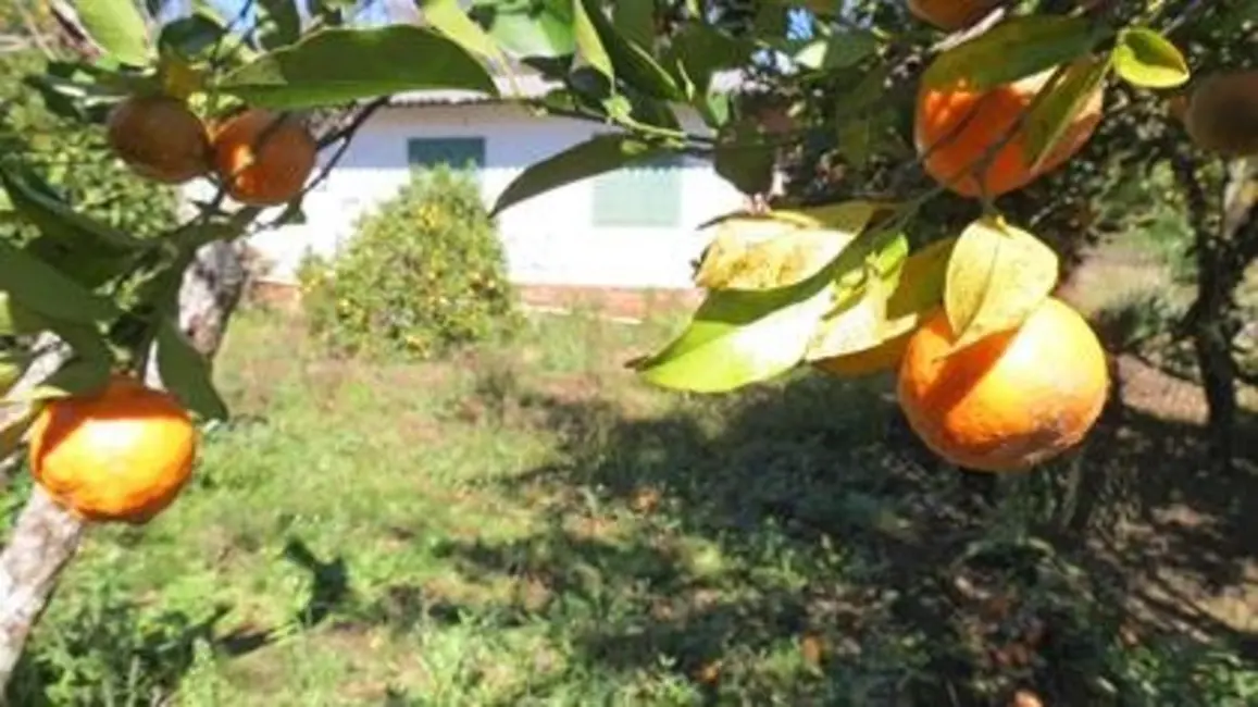 Foto 9 de Casa com 3 quartos à venda, 100m2 em Nova Petropolis - RS