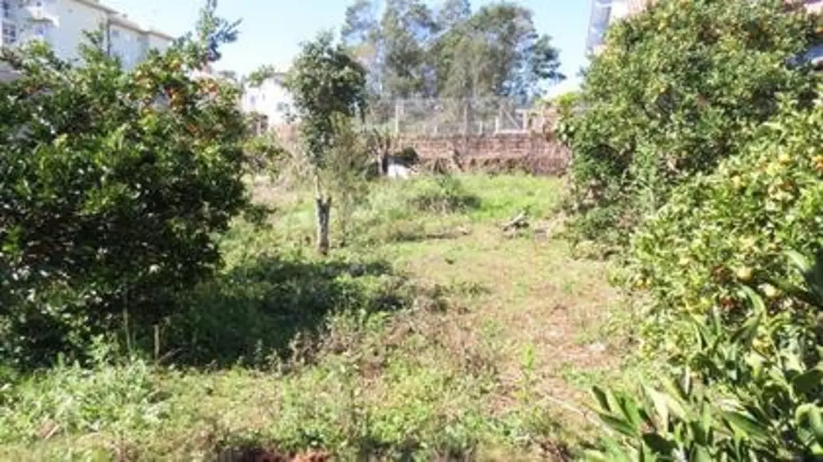 Foto 5 de Casa com 3 quartos à venda, 100m2 em Nova Petropolis - RS