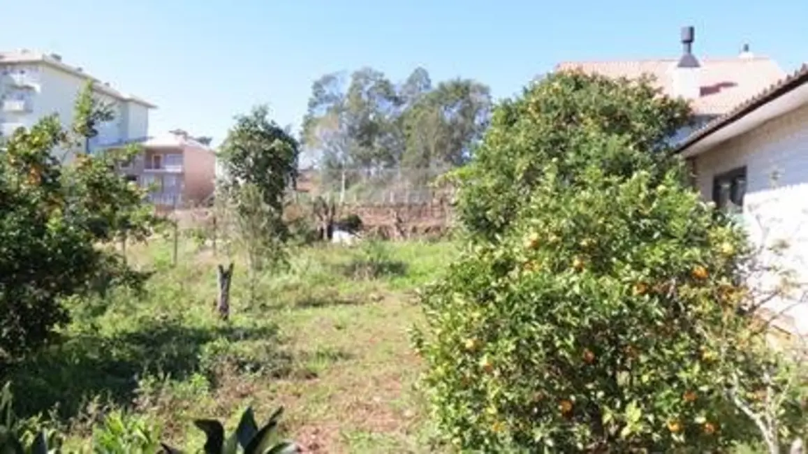 Foto 8 de Casa com 3 quartos à venda, 100m2 em Nova Petropolis - RS