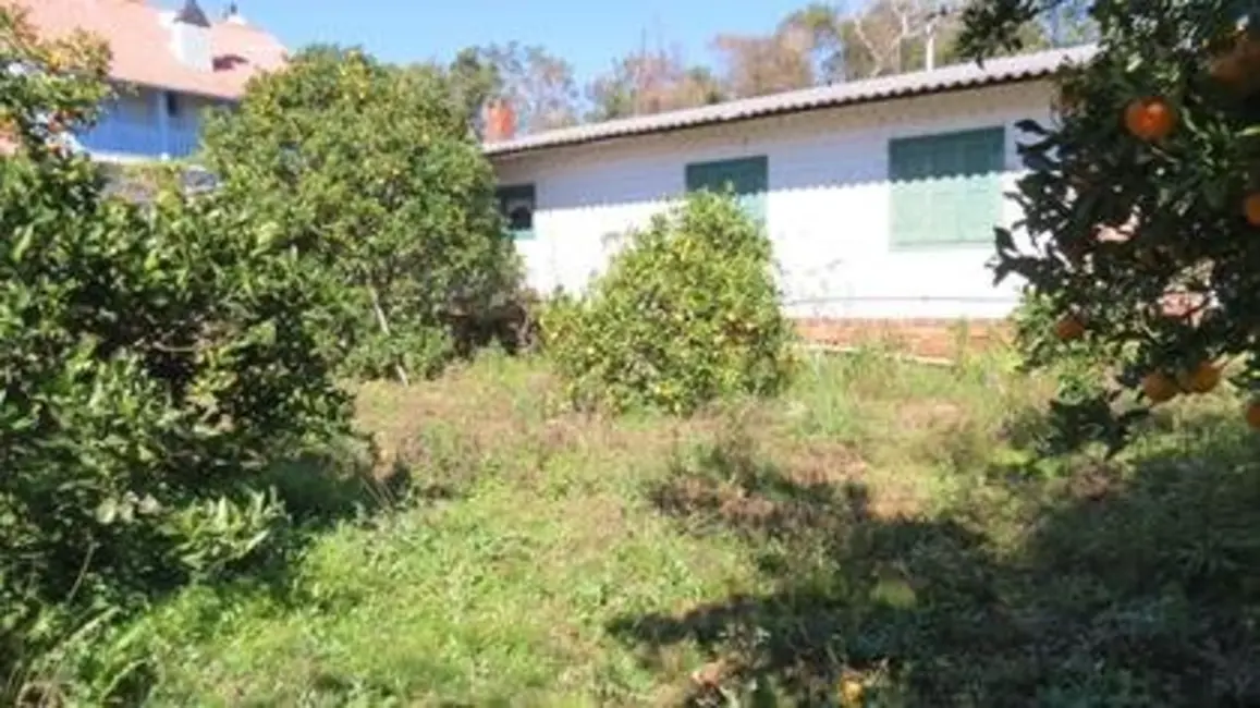 Foto 6 de Casa com 3 quartos à venda, 100m2 em Nova Petropolis - RS
