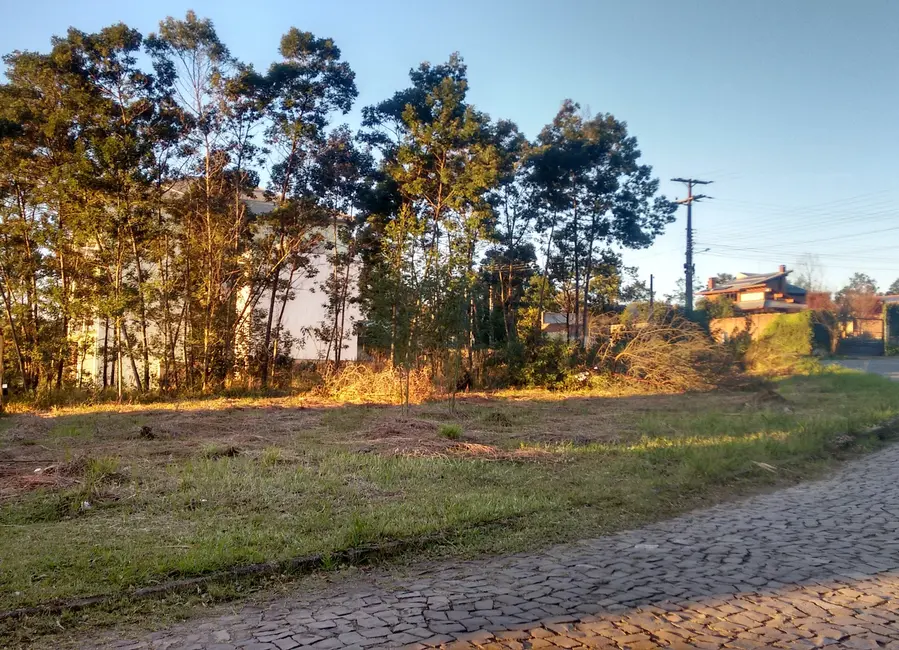 Terreno / Lote à venda, 389m2 em Nova Petropolis - RS - imagem 3 Foto 3 de Terreno / Lote à venda, 389m2 em Nova Petropolis - RS